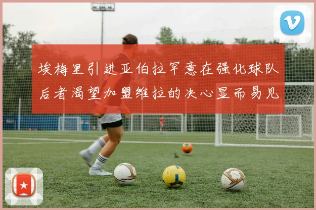 埃梅里引进亚伯拉罕意在强化球队后者渴望加盟维拉的决心显而易见