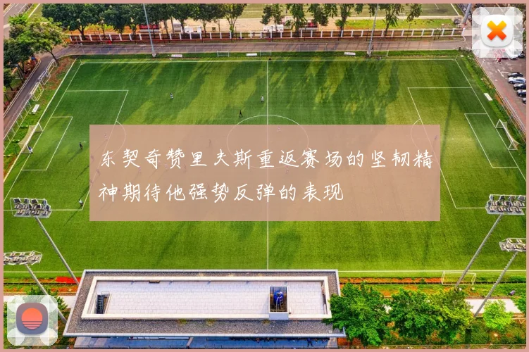 东契奇赞里夫斯重返赛场的坚韧精神期待他强势反弹的表现